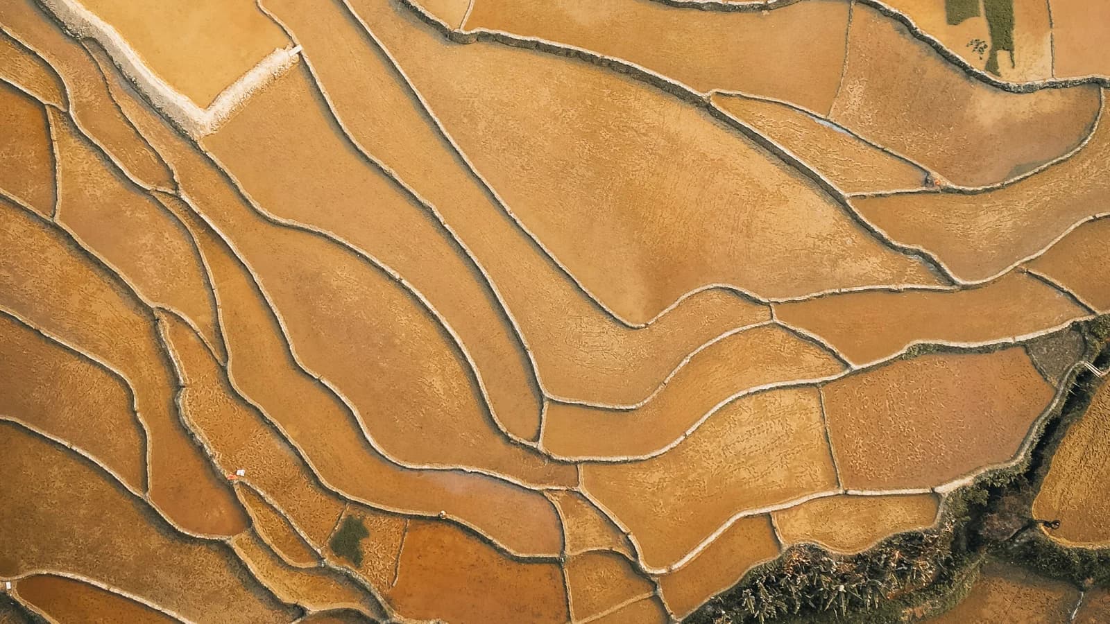 Terraced fields form repeated patterns when viewed from above.